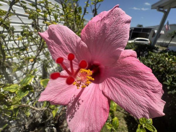 2001 Manufactured Home