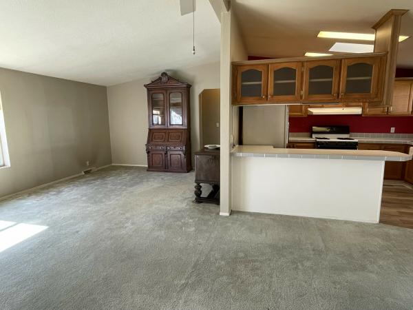 1994 Skyline unk Mobile Home