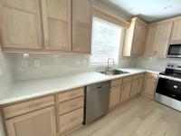 2025 Skyline - Ocala Silver Springs - Limited Series Mobile Home