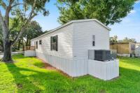 2024 LIVE OAK RUNNER SERIES  Home