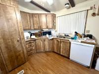 1984 BAIN Manufactured Home