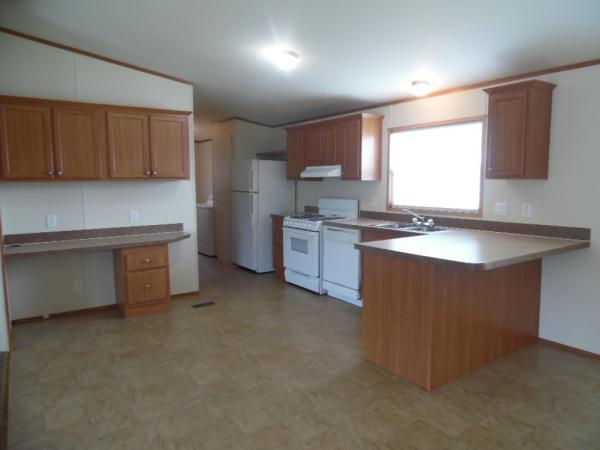 2006 Skyline Mobile Home