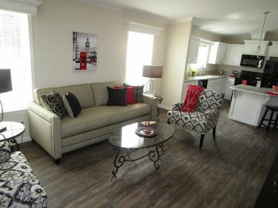 Photo 3 of 18 of home located at 40650 Vanilla Orchid Loop Zephyrhills, FL 33540