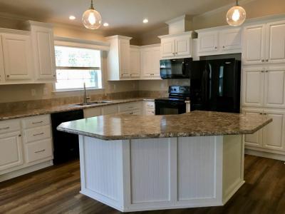 Photo 4 of 18 of home located at 40650 Vanilla Orchid Loop Zephyrhills, FL 33540
