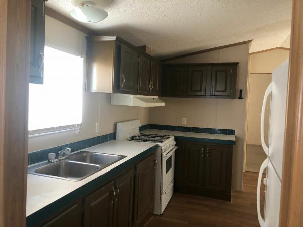 1994 Skyline Mobile Home For Sale