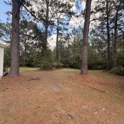Photo 4 of 8 of home located at 4164 Highway 84 E Lot X Cairo, GA 39828