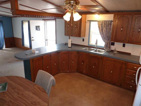 1985 Skyline Mobile Home