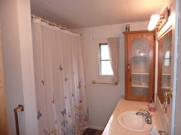 1985 Skyline Mobile Home
