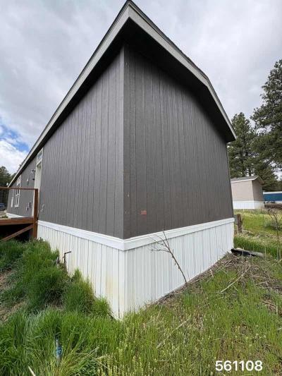 Photo 4 of 30 of home located at 72 Great West Avenue #64 Pagosa Springs, CO 81147