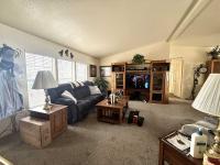 1992 Skyline Mobile Home