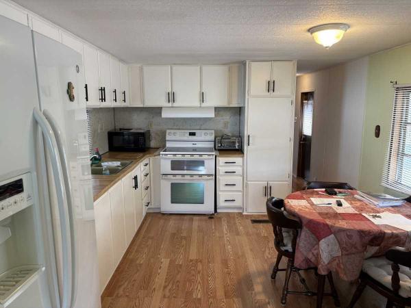 1976 DONA Mobile Home