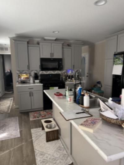 Photo 4 of 19 of home located at 752 Beach Street, Lot # D-07 Palmyra, WI 53156