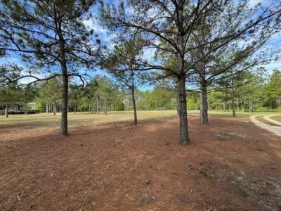 Photo 5 of 15 of home located at 138 Brannon Montgomery Rd Mauk, GA 31058