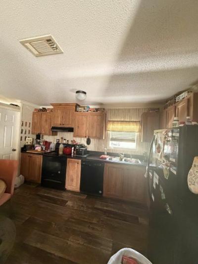 Photo 2 of 3 of home located at 217 Aladana Drive Seffner, FL 33584