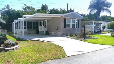 Mobile Home at 7239 Harbor View Drive Lot 286 Leesburg, FL 34788