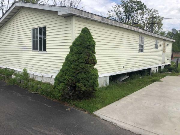 1985 Patriot Mobile Home For Sale