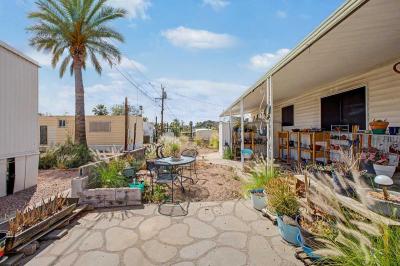 Photo 2 of 19 of home located at 10401 N Cave Creek Rd Lot 284 Phoenix, AZ 85020