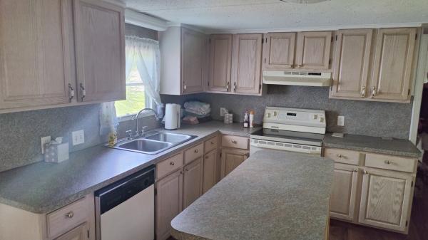 1971 Skyline Mobile Home