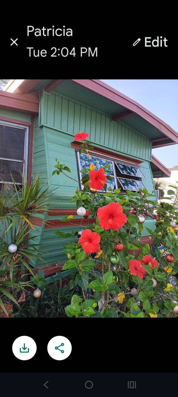 Photo 1 of 2 of home located at 19701 N Tamiami Trl Lot 101 North Fort Myers, FL 33903