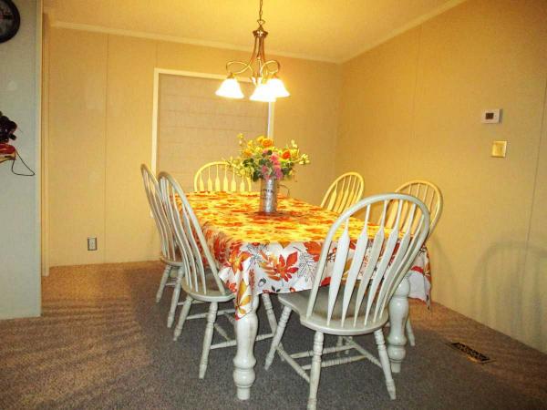 1995 Skyline Manufactured Home