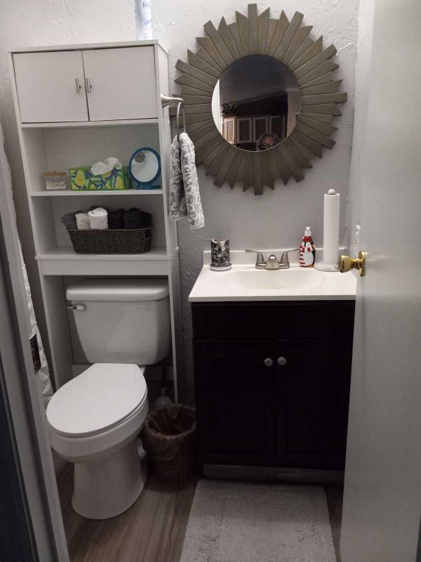 1997 Destiny Mobile Home