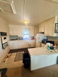 1966 Skyline Manufactured Home