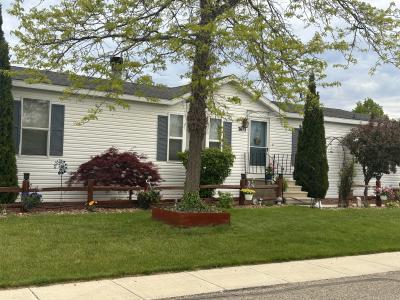 Mobile Home at 3073 Flagstone Drive Hudsonville, MI 49426