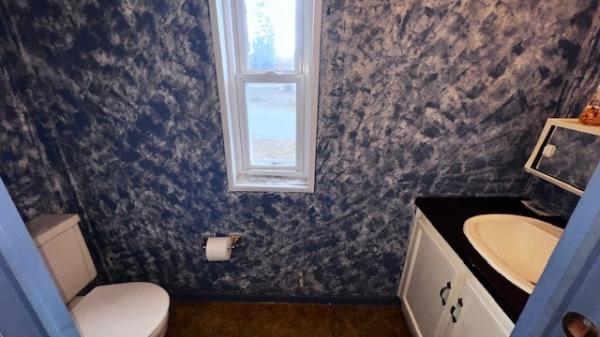 1980 Mobile Home