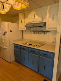 1971 2BD/2BA Mobile Home