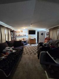 1990 Skyline Manufactured Home