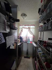 1990 Skyline Manufactured Home