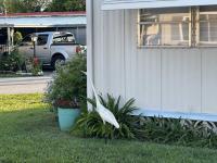 1969 Tropical 1968 Mobile Home