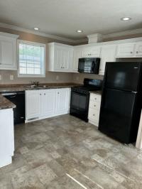 2017 Skyline 1036B  Home
