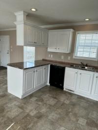2017 Skyline 1036B  Home