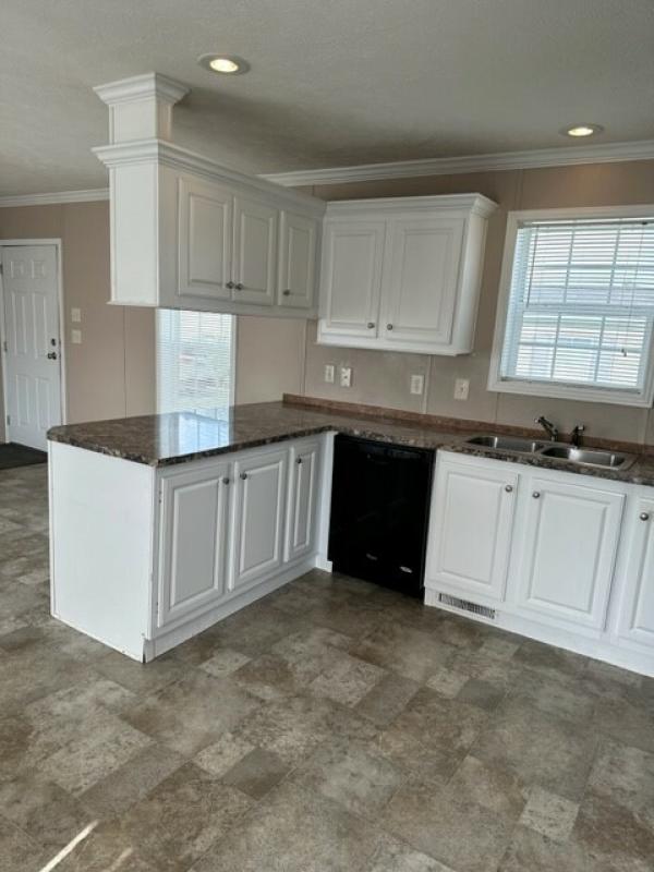 2017 Skyline 1036B  Home