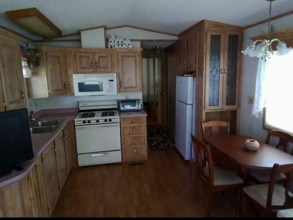 1990 Skyline Manufactured Home