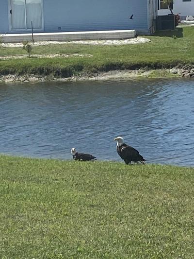 Photo 4 of 41 of home located at 5601 Duncan Rd #191 Punta Gorda, FL 33982