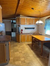1991 Skyline Mobile Home