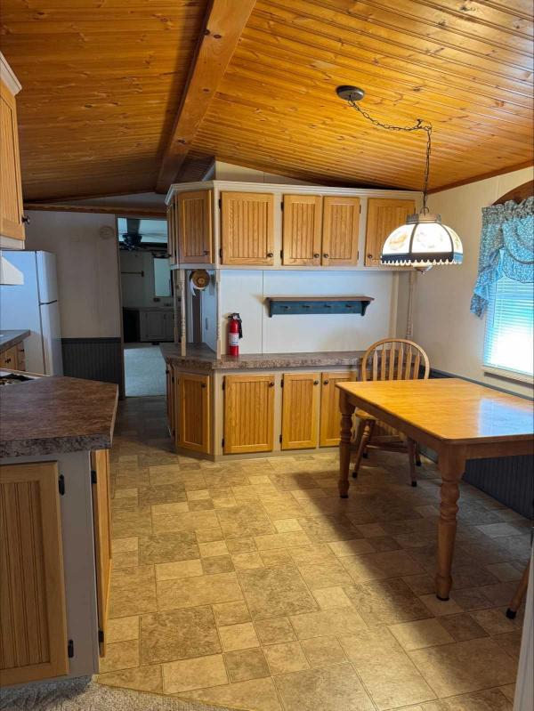 1991 Skyline Mobile Home