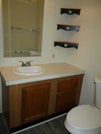 2001 Skyline Manufactured Home