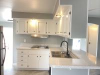 1971 Skyline Homes n/a Mobile Home
