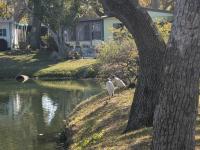2026 Skyline - Ocala *Monticello II - Limited Series Mobile Home