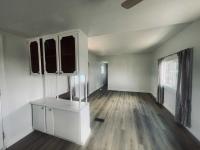 1970 SKYLINE Mobile Home