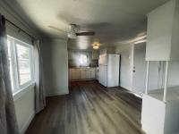 1970 SKYLINE Mobile Home