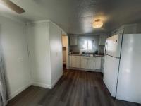 1970 SKYLINE Mobile Home