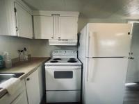1970 SKYLINE Mobile Home
