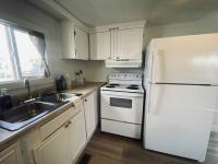 1970 SKYLINE Mobile Home