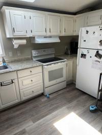 1996 Skyline Manufactured Home