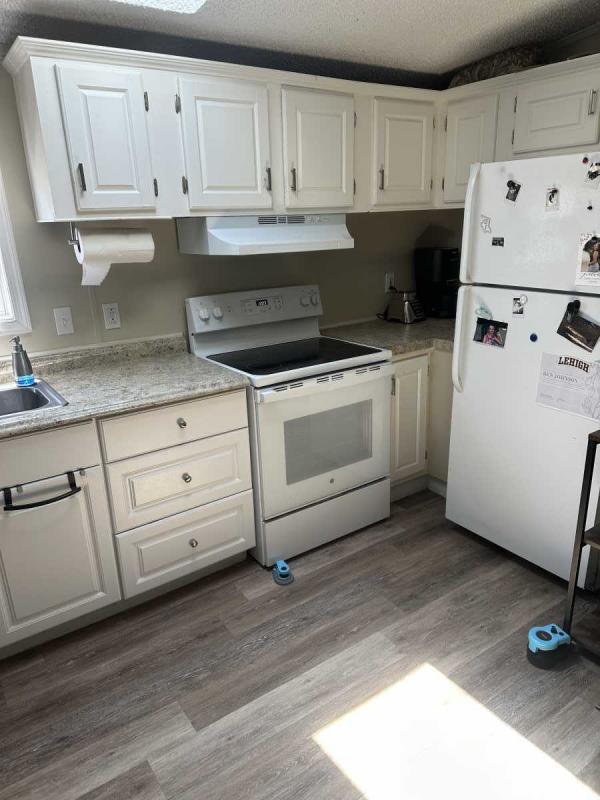 1996 Skyline Manufactured Home