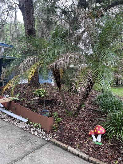 Photo 2 of 15 of home located at 424 Bark Circle Deland, FL 32724